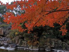 -白马涧龙池景区