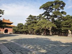 -北陵公园