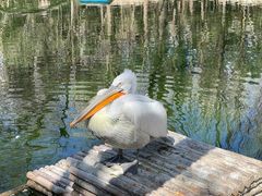 -济南野生动物世界