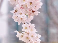 -西北湖绿化广场