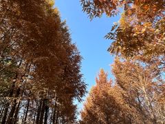-上海山野camping·户外天幕烧烤·团建拓展营地