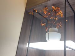 -华夏良子·足道SPA艾灸(金皇大厦店)