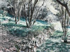 -宁波市保国寺古建筑博物馆