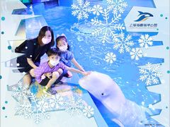 -上海海昌海洋公园-冰山北极馆