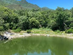 -阳台山自然风景区