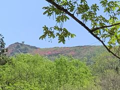 -木兰云雾山