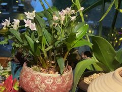 -街角 T·COFFEE 融合料理·BISTRO(车公庙店)