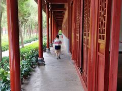 -洛阳白马寺