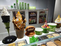 -Salud撒露欧洲冻酸奶(北苑上品店)