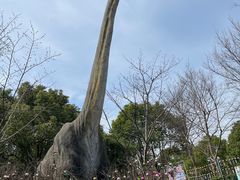 -自然谷恐龙园