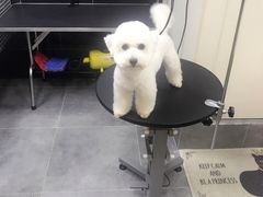 -小尾巴宠物店(万科·金域华庭店)