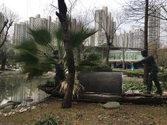 -苏州河梦清园环保主题公园