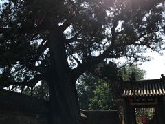 -中岳庙