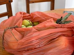 -16年老字号鑫鑫猪肚鸡·椰子鸡海南火锅(兴隆华侨农场店)