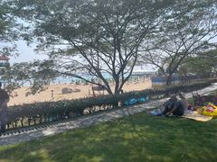 -碧海金沙