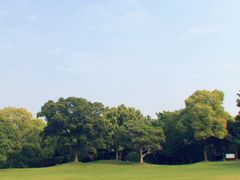 -吴淞炮台湾湿地森林公园烧烤区