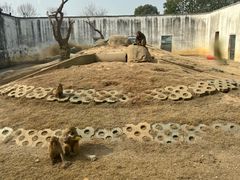 -武汉紫薇都市田园