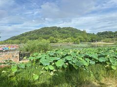 -南北湖风景区