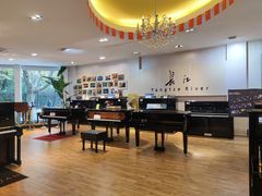 -柏斯琴行(汾阳店)