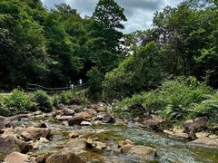 -广州白江湖森林公园