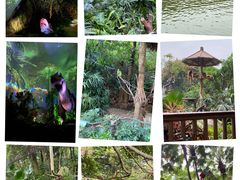 -广州长隆野生动物世界