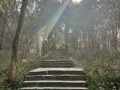-云龙山