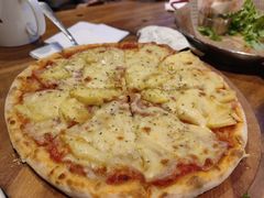 -百好乐宠物友好餐厅(朝外大街店)