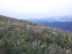 -白草畔自然风景区