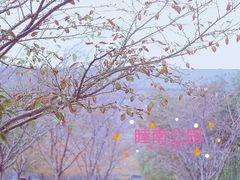 -睦南公园
