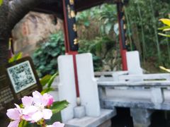 -乌山风景区