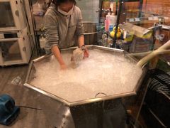 -PETKIT小佩宠物(古北店)