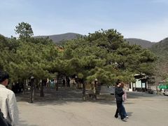-潭柘寺景区