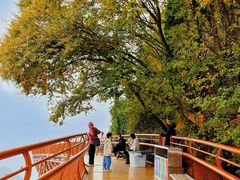-少华山国家森林公园