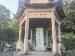 -平湖九龙山旅游度假区