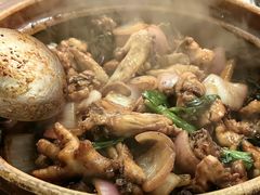 -胡须佬鸡煲四季火锅店(石厦西村直营店)