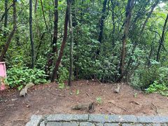 -苍山感通索道