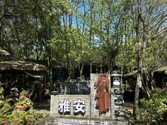 -土砂锅生态山庄·非遗砂锅雅鱼
