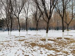 -快乐小羊(富强中路店)