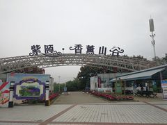 -紫颐香薰山谷景区