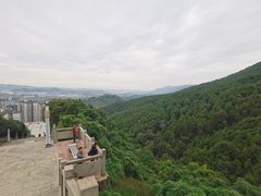 -铁山坪森林公园