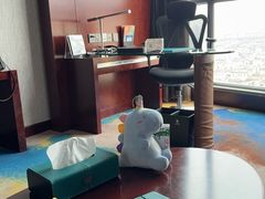 -常州环球恐龙城维景国际大酒店