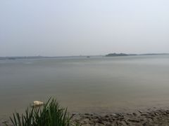 -武清南湖绿博园