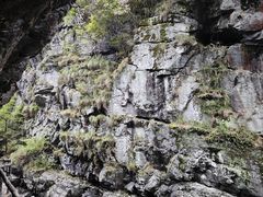 -石台牯牛降景区