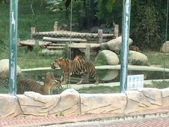 -泉州海丝野生动物世界