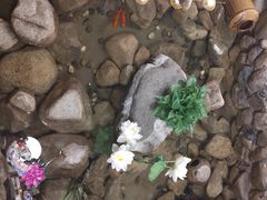 -一桶江山餐厅(松北店)