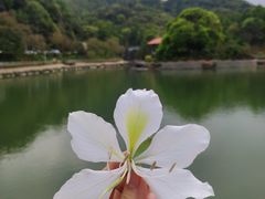 -广州市帽峰山景区