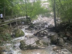 -牛背梁国家森林公园