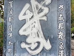 -靖西鹅泉风景区