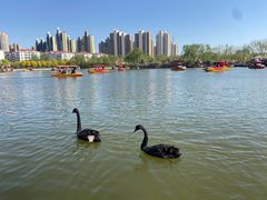 -南翠屏公园