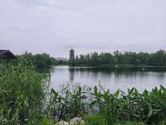 -洋湖国家湿地公园